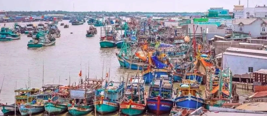 Vietnam adopts measures to have EC's IUU "yellow card" removed
